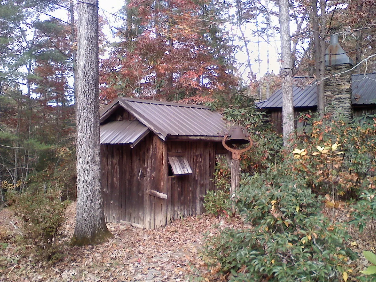 Small metal roof on a rough sawn shed in the woods in Christine